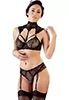 Lace lingerie with collar and garters 2p