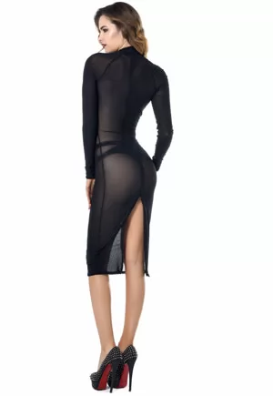 Azia sleeve Transparent zipped dress