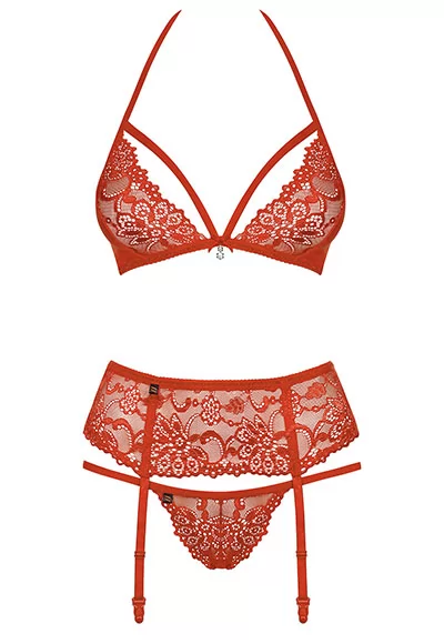 Lace lingerie garter set 3 pcs Red 838