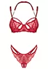 Matildea bra and open crotch thong