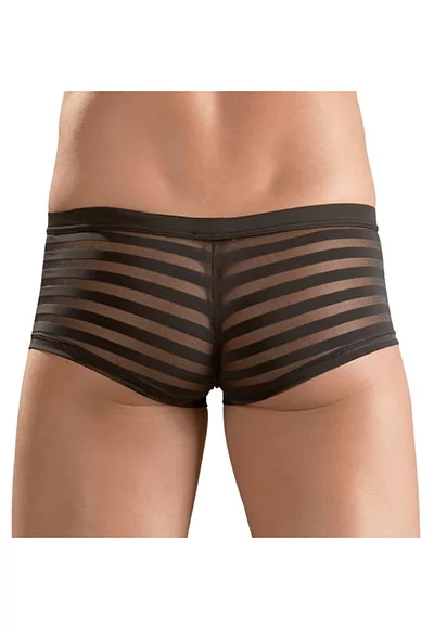 Mens brief with transparent stripes