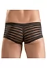 Mens brief with transparent stripes