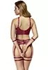 Provocative red bra set