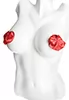 Red gift Nipple pasties