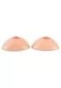 Silicone breast 600gr each