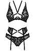 Alessya Bra Brief Suspender