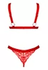 Elianes red Bra and Thong