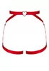 Elianes red Harness