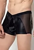 Harbard faux leather shorts