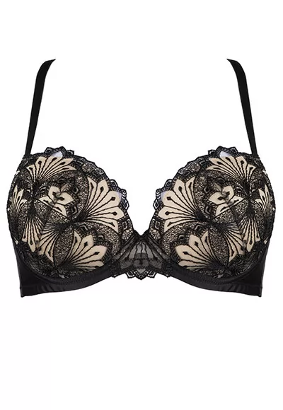 Hotel Desire black Padded Bra Clandestine