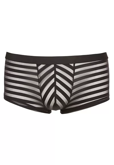 Mens brief with transparent stripes