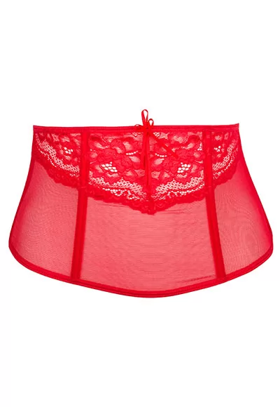 Red lace and mesh Waist Cincher