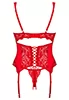 Amor Cherris red Basque and thong