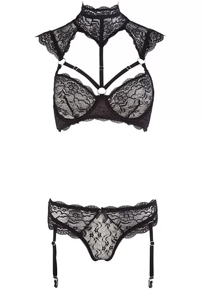 Lace Lingerie With Collar And Garters 2p Cottelli