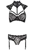 Lace lingerie with collar and garters 2p