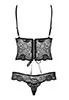 Teddy lace Alluria Black