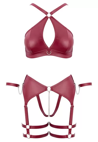 Provocative red bra set
