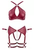 Provocative red bra set
