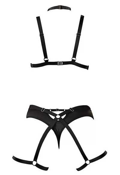 Elegant and cheeky bondage harness set