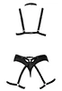 Elegant and cheeky bondage harness set