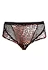 Wildcat black leopard Shorty