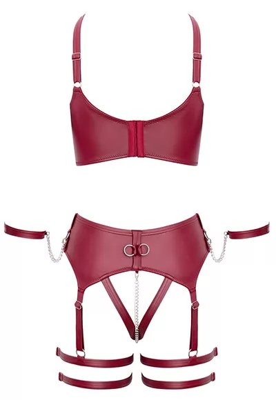 Provocative red bra set