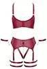 Provocative red bra set