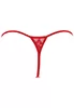Red microfiber lace Chemise and thong