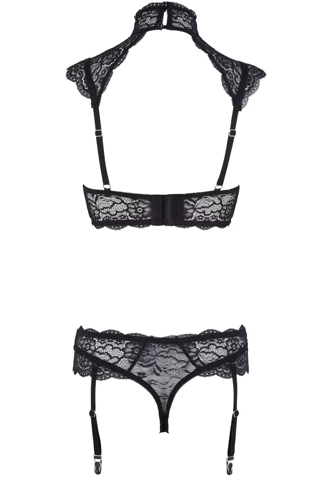 Lace lingerie with collar and garters 2p