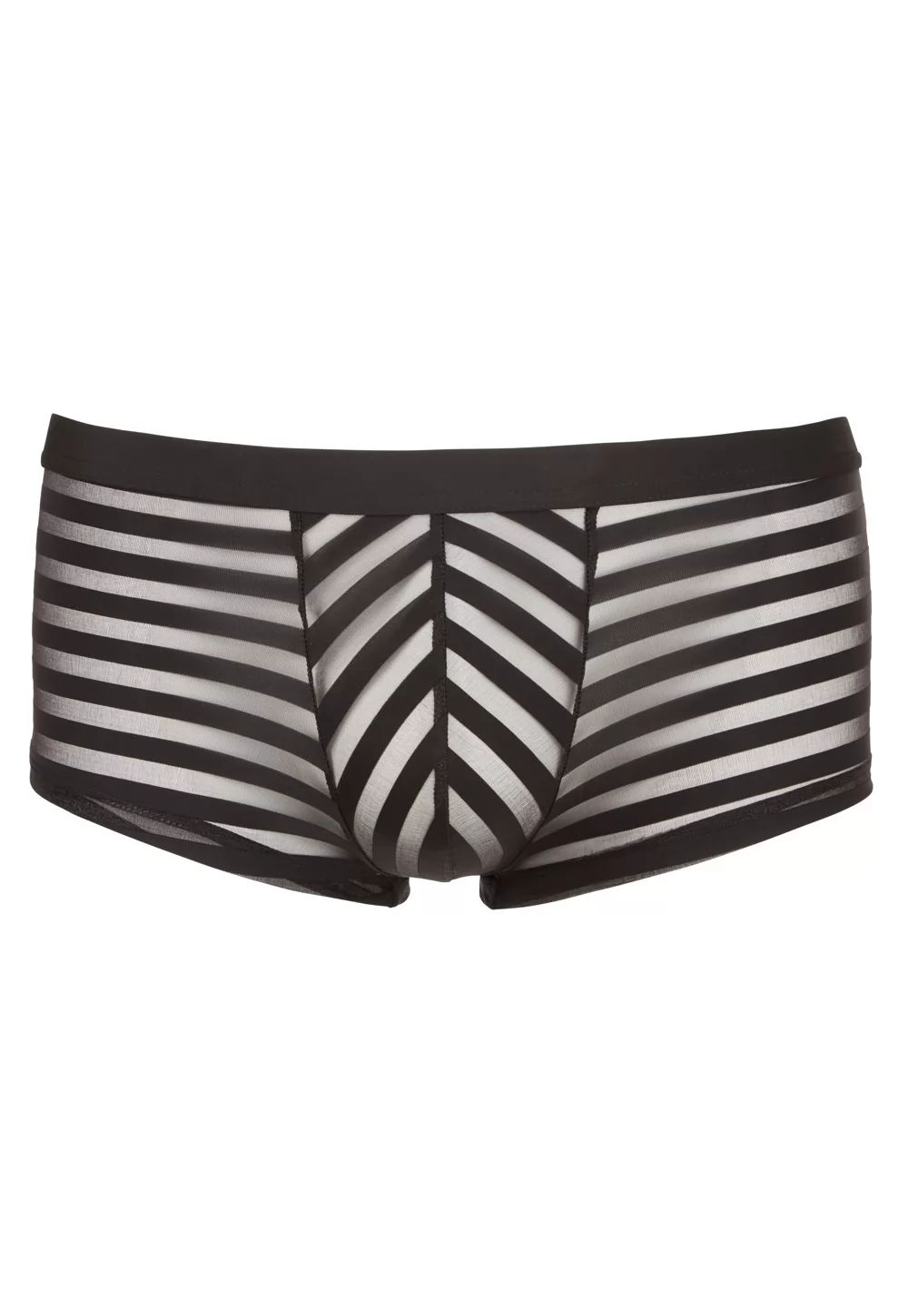 Mens brief with transparent stripes