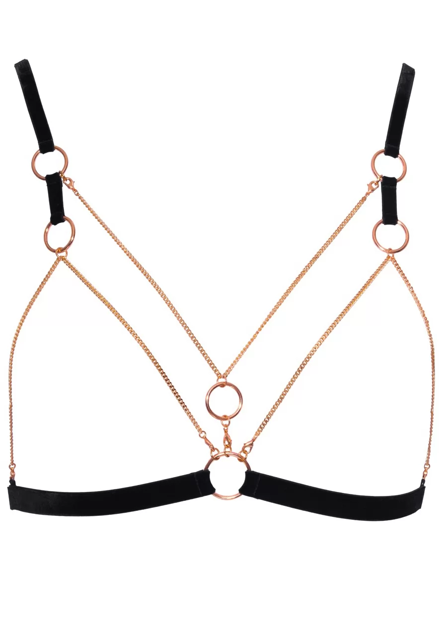 Chic rosegold lace bondage lingerie 2p