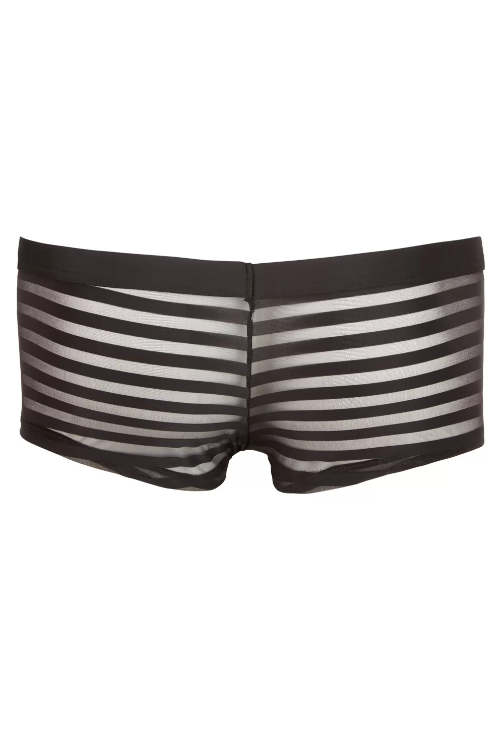 Mens brief with transparent stripes