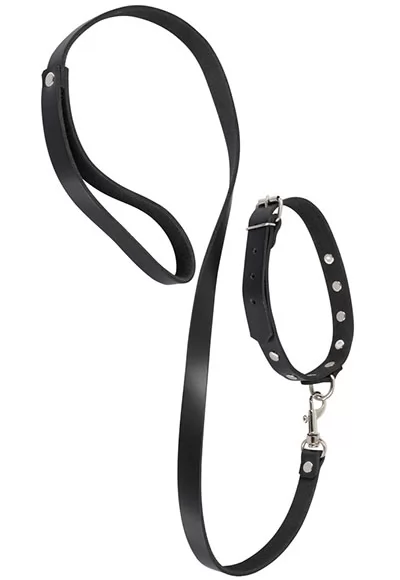 Collier et laisse en cuir