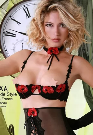 Verseau Soutien gorge demi sein sexy luxe