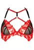 Soutien gorge Obsession