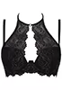 Soutien gorge dentelle noir et or