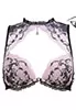 Soutien gorge push up dentelle Dragee