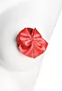 Cache tétons pasties cadeau rouge
