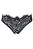 Slip dentelle noir Black Swan