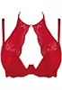 Soutien gorge dentelle rouge