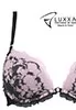 Soutien gorge push up dentelle Dragee